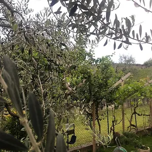 Bardolino,lago Di Garda, Appartamento,vacanze Apartment Bardolino